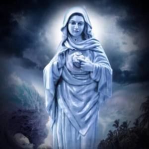 Meet your Posher, Rani